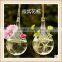 hanging glass flower water vase glass terrariums wholesale