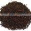 Pepper nut/dried black pepper nut/cheap from Vietnam