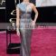 Naomi Watts Silver Sequins Formal Dress 2013 Oscar Awards Red Carpet DressTPD241