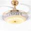 contempory ceiling fan light with remote