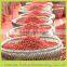dried goji fruit