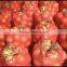 Mesh bags for onions patatoes apples