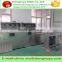 Conveyor belt tunnel type coriander microwave dryer/sterilizer