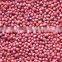 supplying SMALL RED BEANS (CHINA)for sale