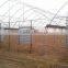 Steel Structure Chicken Poultry House