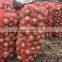 Fresh red & yellow onion