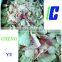 QK553 Frozen Meat Flaker, Good quality of meat flaking machine slicer