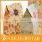 high quality with an incredible price fancy customized kraft paper bag for cloth