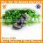 JML new balance shoes summer dog shoes for hot pavement