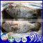 Tropicana food and beverages black tilapia fish farming