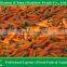 New Crop of Fresh Red Carrot from Farmland for sell