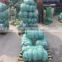 Beijing cabbage/round cabbage/flat cabbage from factory