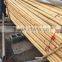 cheap raw Bamboo poles