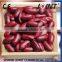 wholesale dry beans/red kidney beans