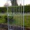 5cm Gap Between Galvanized Bars Safe Pet Dog Runs Panel 5'x10' European Style Outdoor Dog Kennel
