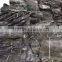 Wholesale Price of Dried Kelp(Kombu)Seaweed Food/Comestic Grade