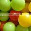 Plastic Ball Pit balls with Highest Quality Material