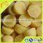 Yellow wax particles wholesale China beekeeping supplies