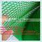 Plastic Support Netting / wire mesh,trellis netting ( factory price)