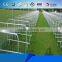 Customized size powder coated crowd control barriers/Barricade/Metal stanchions