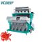 CCD Wolfberry Color Sorter Grain Processing Machinery