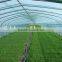 Poly Tunnel Vegatable Greenhouse covered by polythene film