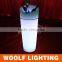 Hot Sells Tropical Design Plastic stylish LED Bar Ice Bucket