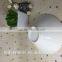 Stocked White Chinese plate