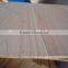 paulownia wood board/paulownia timber
