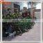 New products by shipping artificial pine tree branches pine tree japanese tree