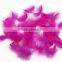 Wholesale multicolor decotation goose feather for party and wedding,5-8cm import from China