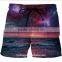 men fast dry claw beach shorts/ blue l na creative plus size beach shorts with pockets / printed sports beach wear