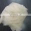 Pure 100% Chinese sheep wool natural white18.0mic/32-34mm