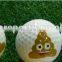 Emoji Universe 2-Ply Professional Practice Golf Balls