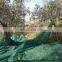 100% virgin HDPE falling fruits harvest net/breaking resistance olive falling collection net/chestnuts picking