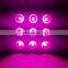New Product For Indoor Plants Growing and Flowering LED Lamps 2700w COB Grow Light