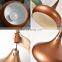 Modern Led Ceiling Aluminum Pendant Light