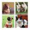 Promotional Cat Dog Animal Note Pad Memo Cube Paper Block