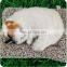 Car Accessories Puppy Doll Decoration Simulation sleeping Dog Car Ornaments Cute Dog Toy Gift