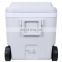 50L Outdoor Pattern Food Solar Color Feature   Waterproof  PP Refrigerators  Customized Logo Ice Chest Cooler Time