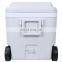 GINT 50L Made in China Hot Selling Cheap Insulated Good Large Cooler Box