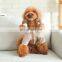 Trendy Outdoor Clothing 2021 Designer Winter High Fashion Dress Pet Winter Vest Dog Wear Clothes