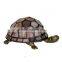 Stained Glass Tiffany Style Turtle Night Light Table Desk Lamp