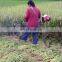 Rice paddy harvesting machine Wheat harvester Cereal harvester machine wheat corn soybeans cutting machine