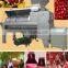 Automatic Pomegranate Peeling Machine, Hot Sale Pomegranate Press