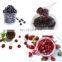 Factory Genyond 20% OFF Fruit puree pulping machine / juice screw pressing extracting equipment extractor machine