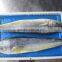 Frozen Mahi Mahi 3kgs up