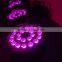 Good price RGBWA 5 in1 high brightness LED par light 110v-240v stage usage