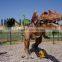Dino Park equipment animatronic robotic dinosaurs