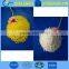 candle wax raw material